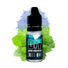 Arôme concentré Sweet Mint DIY 10ml - Revolute