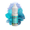 E-liquide Menthe Polaire 10 ml - Végétol - Liquidarom