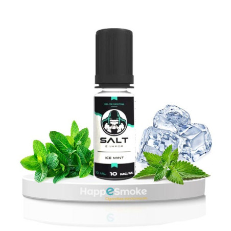 E-liquide Ice Mint 10ml- SALT E-VAPOR