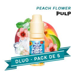 PACK DLUO X5 e-liquides...