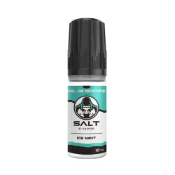 E-liquide Ice Mint 10ml-...