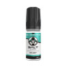 E-liquide Ice Mint 10ml- SALT E-VAPOR