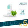 PACK DLUO x5 E-liquides Menthe 10ml - Alfaliquid
