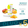 PACK DLUO x5 E-liquides Mangue 10ml - Alfaliquid