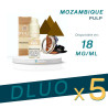 PACK DLUO x5 E-liquides Mozambique 10ml - Pulp