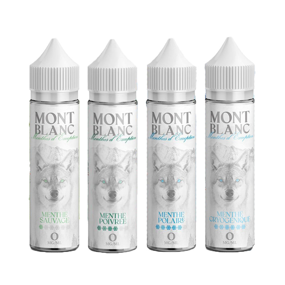 elfbar nachfüll pod läuft aus Arômes concentrés Menthe pour e-liquides DIY main image 0